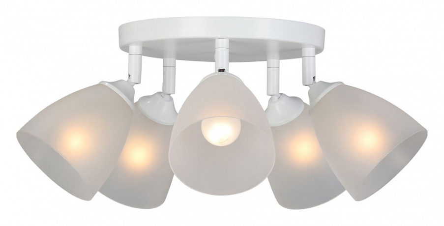 Потолочная люстра Vitaluce V4355 V4355-0/5PL 
