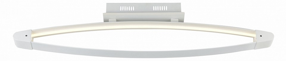 Накладной светильник ST-Luce SL920 SL920.102.01 