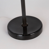 CL332861 Настольная лампа Citilux Мартин