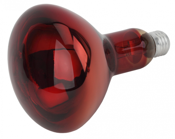 Инфракрасная лампа ЭРА ИКЗК 220-250 R127 для обогрева животных 250 Вт Е27 Б0042980 