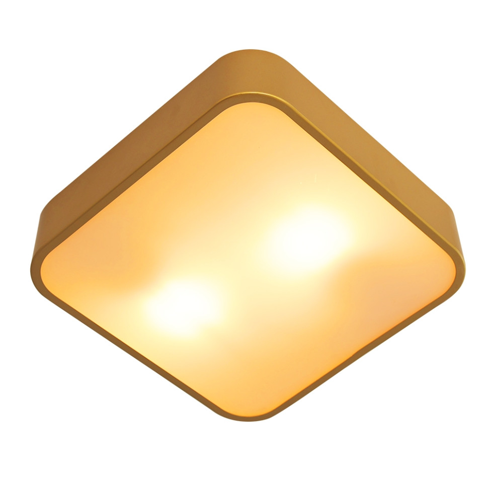 Потолочный светильник Arte Lamp Cosmopolitan A7210PL-2GO, цвет золото - фото 1