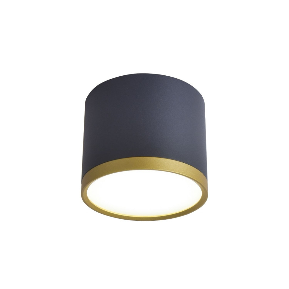 Накладной светильник Favourite Baral 3081-2C, цвет черный и золото - фото 1