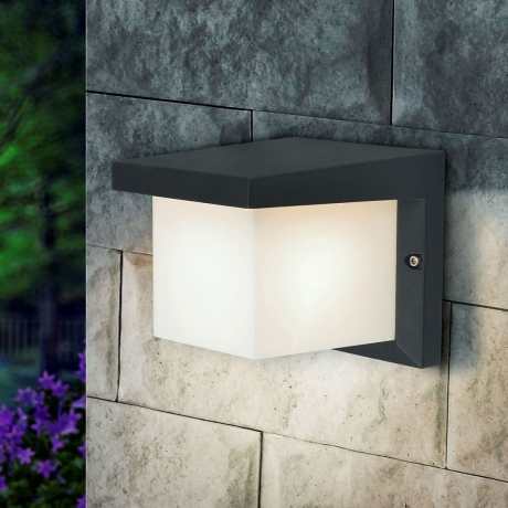 109924 Уличный настенный светильник Elektrostandard (a038435)