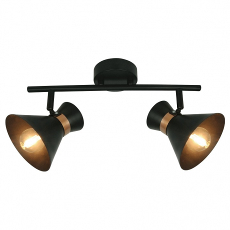 Спот Arte Lamp Baltimore A1406AP-2BK 