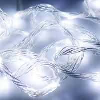 10м. Гирлянда нить холодный свет Ardecoled 230V ARD-String-Home-10000-Clear-99Led-Run White (25915)