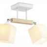 Светильник на штанге Ambrella Light TR TR9511 