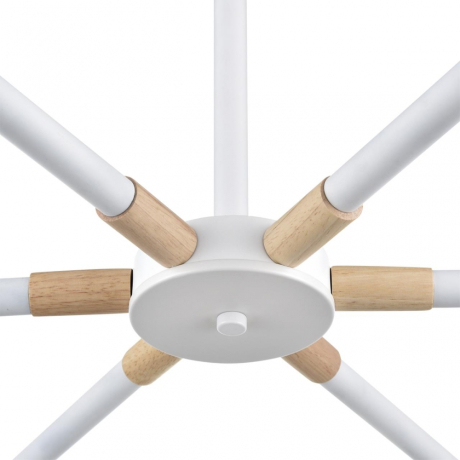 Люстра на штанге Lumion Moderni Rosalina 8097/6C 