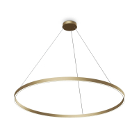 Подвесной светильник Maytoni MOD058PL-L65BSK Rim