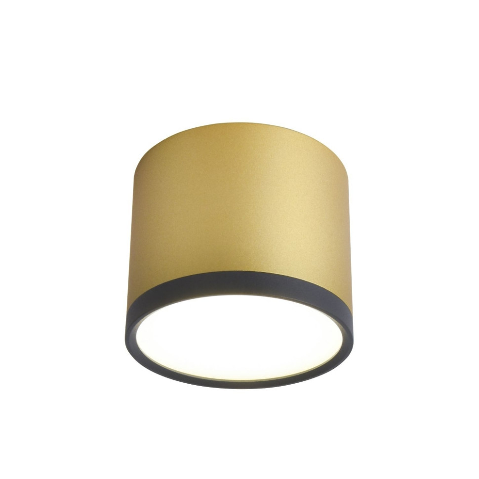 Накладной светильник Favourite Baral 3082-2C, цвет черный и золото - фото 1