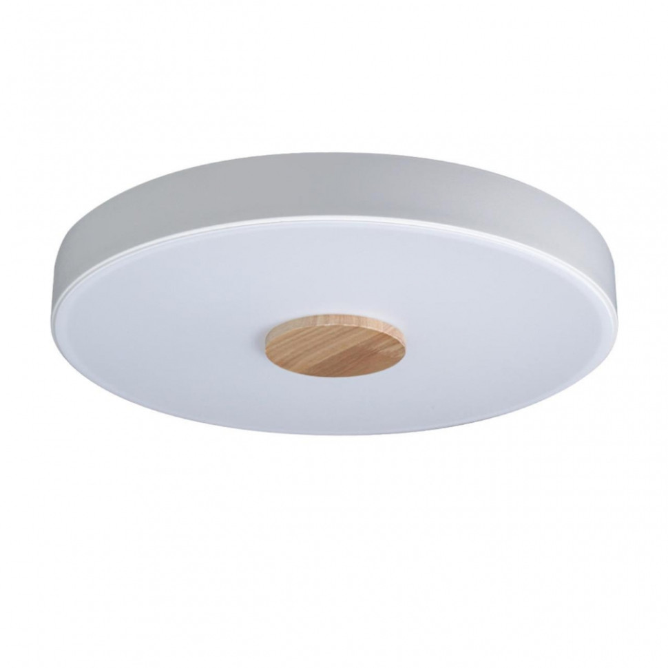 Потолочный светодиодный светильник Axel Loft It 10003/24 White, цвет белый 10003/24 White - фото 1