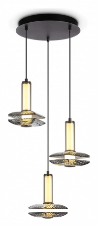 Подвесной светильник Ambrella Light LH LH31012 