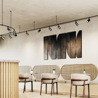 Трековый светильник Technical TR201-1-10W3K-M-BBS Focus Led