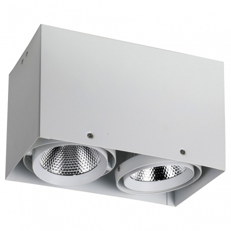 Накладной светильник Favourite Flashled 1986-2U