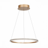 Подвесной светильник ST-Luce ST604 OUT ST604.243.22 