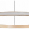Подвесной светильник ST-Luce ST604 OUT ST604.243.22 