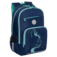 Нарушена упаковка!  <796753> Рюкзак GRIZZLY школьный, анатомическая спинка, 2 отделения, для девочек, "AZURE", 40х25х13 см, RG-564-4/1 (274197)