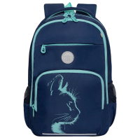 Нарушена упаковка!  <796753> Рюкзак GRIZZLY школьный, анатомическая спинка, 2 отделения, для девочек, "AZURE", 40х25х13 см, RG-564-4/1 (274197)