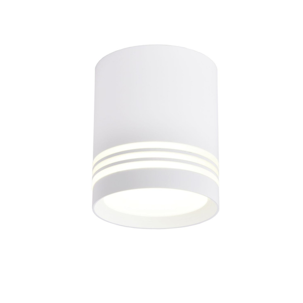 Светильник со светодиодными лампами, накладной, комплект от Lustrof. №385003-617883, цвет матовый белый - фото 1