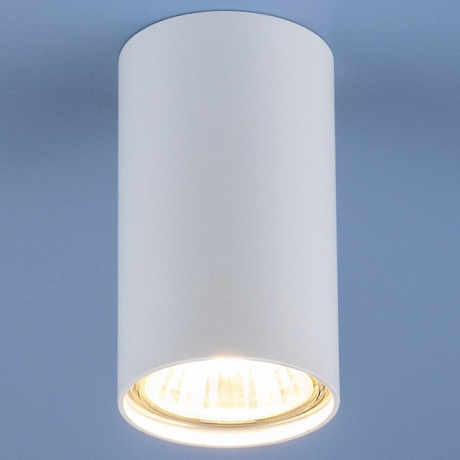 Накладной светильник Elektrostandard 1081 a037712 