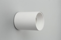 OML-101209-01 Точечный светильник Omnilux Cariano