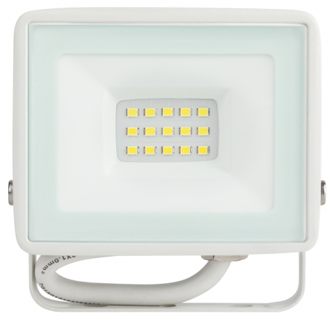 Прожектор светодиодный уличный Эра -W-65K-020 (365294)