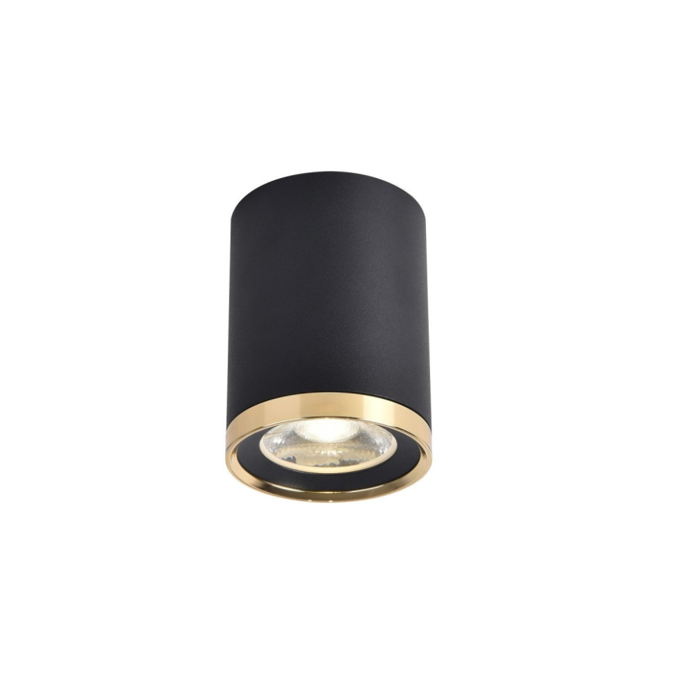 Накладной светильник Favourite Prakash 3086-1C, цвет матовый черный, золото - фото 1