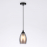 Подвесной светильник Ambrella Light TR TR3535