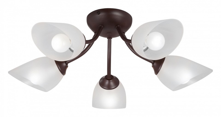 Потолочная люстра Vitaluce V3184 V3404/5PL 