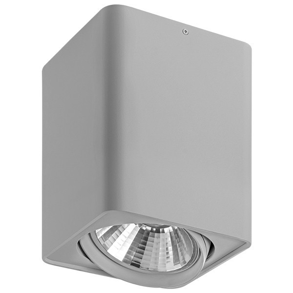 212639 Светильник точечный накладной под заменяемые галогенные или LED лампы Lightstar Monocco, цвет серый - фото 1