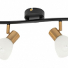 Спот Arte Lamp Falena A3117PL-4BK 