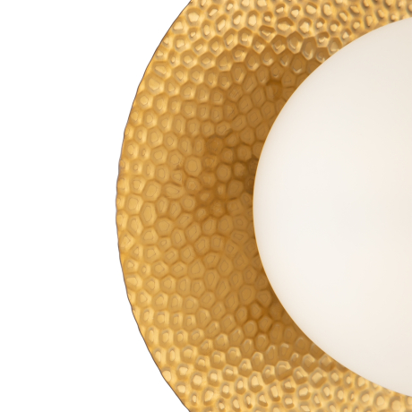 Накладной светильник Freya Camelia FR5202WL-01BS 