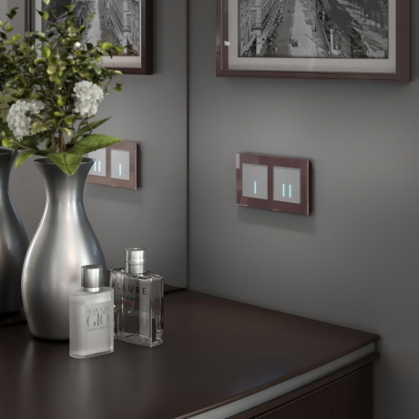 Выключатель одноклавишный сенсорный с управлением по Wi-Fi (серебряный) Werkel 300524