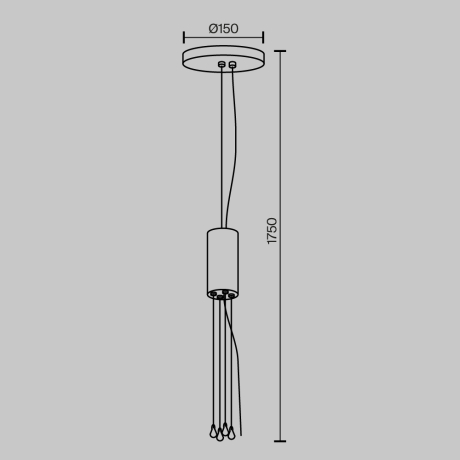 Подвес Maytoni Technical Zon C032C-04-B-1