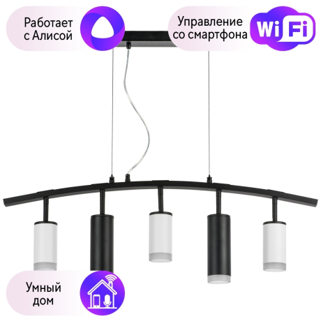 LR7353638720 Подвесной светильник Rullo Lightstar с поддержкой Алисы, (комплект из 571735+214436-3+214487-2+202430-5) 
