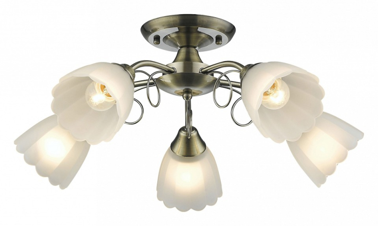 Люстра на штанге Velante 708 708-507-05 