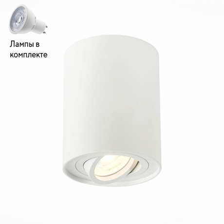 Светильник точечный с Led лампочками в комплекте ST Luce ST108.517.01+Lamps 