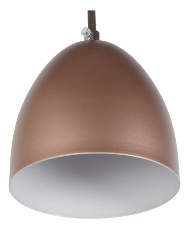 Подвесной светильник Arti Lampadari Nota Nota E 1.3.P1 BR 