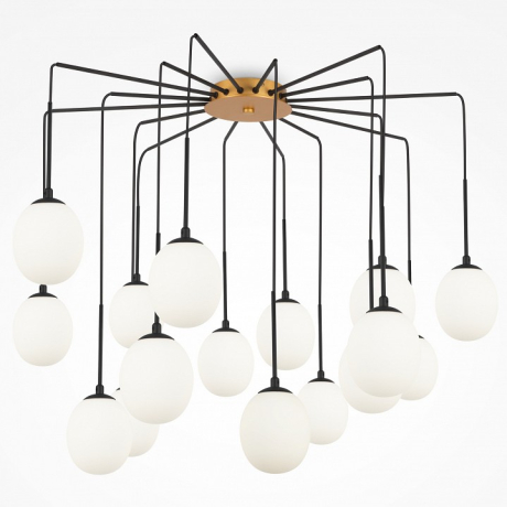Потолочная люстра Maytoni Branch MOD176PL-16G 