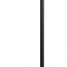 Торшер с подсветкой Loft it Ritz 10253F/B Black 