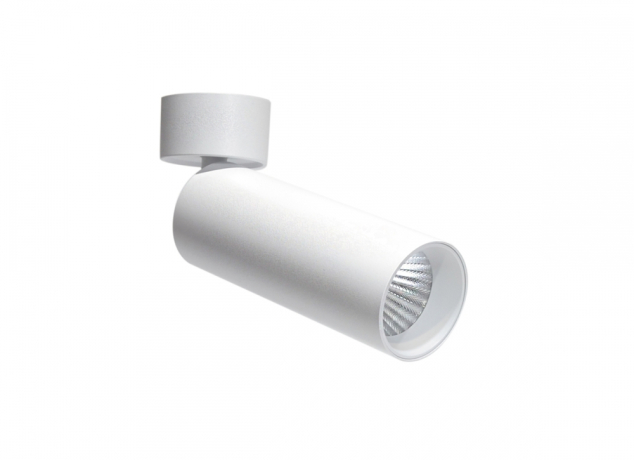 Накладной поворотный светодиодный светильник (блок питания в комплекте) Donolux Rollo DL18895R10W1W ST 