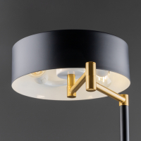 Настольня лампа Freya Izza FR4008TL-02BBS