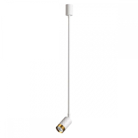 Потолочный светильник с лампочкой Odeon 4350/1C+Lamps