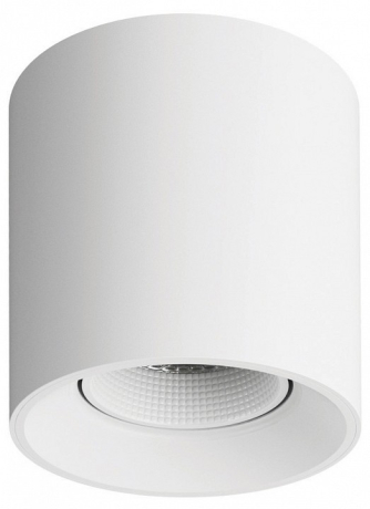 Накладной светильник Denkirs DK3040 DK3090-WH 