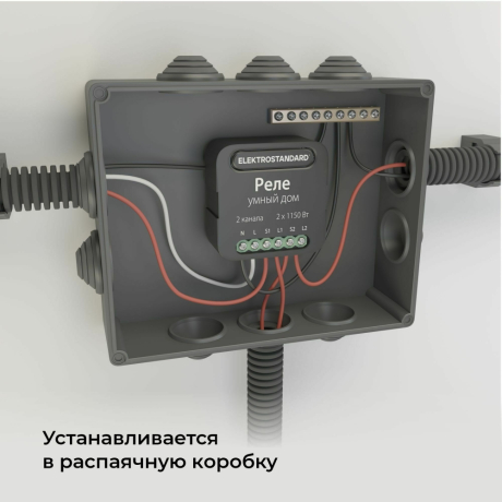 Умное Wi-Fi реле 2 канала Elektrostandard 382511 (a059326)