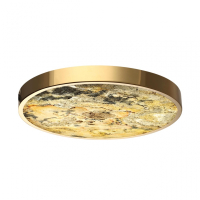 Накладной светильник Odeon Light Bergi 5079/40L