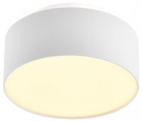 Накладной светильник ST-Luce ST166 ST166.532.17