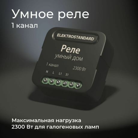 Умное Wi-Fi реле 1 канал Elektrostandard 382513 (a059324)