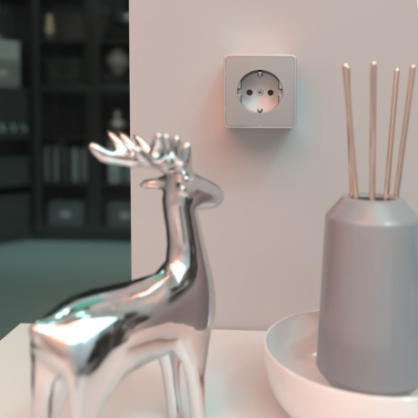 Розетка с заземлением (серебряный)  Werkel 283021 (a052773)