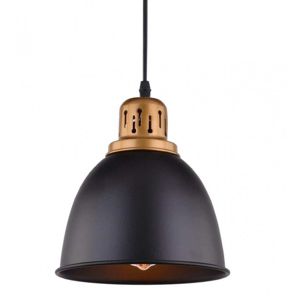 A4245SP-1BK Подвесной светильник Arte Lamp Eurica, цвет черный - фото 2